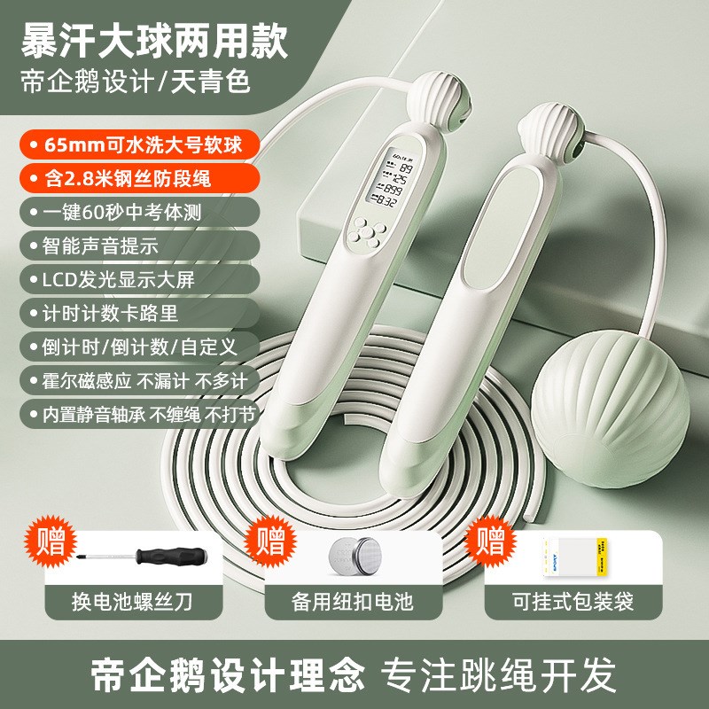 无绳跳绳健身减肥电子计数运动负重球专业燃脂女生专用款重力绳子