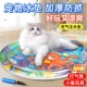 宠物注水冰垫猫咪拍拍水垫水床垫大号狗狗冰窝加厚充气降温凉水垫
