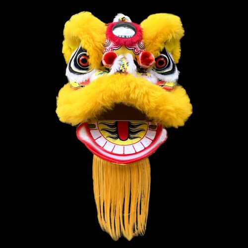 眨眼羊毛小狮子儿童舞狮子头小孩表演演出狮头塑料醒狮道具