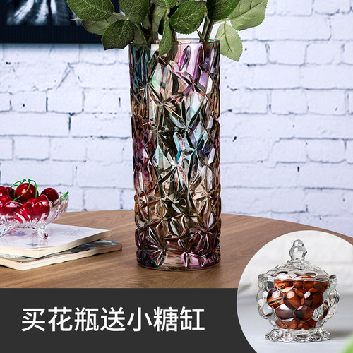 欧式大号水晶瓶客厅小新插水培富贵竹干落地器