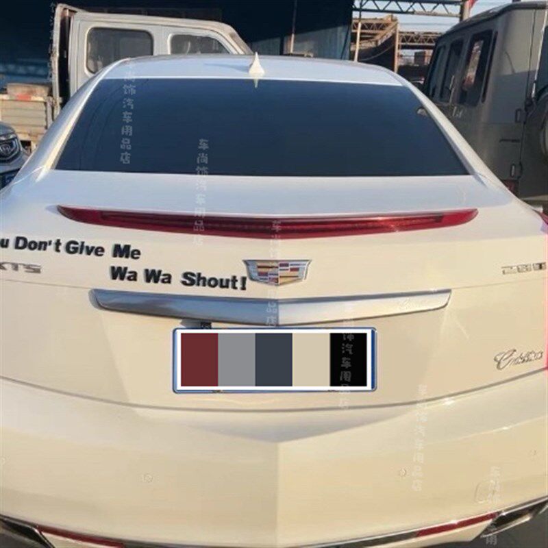 你要给我哇哇叫车       改装搞笑车