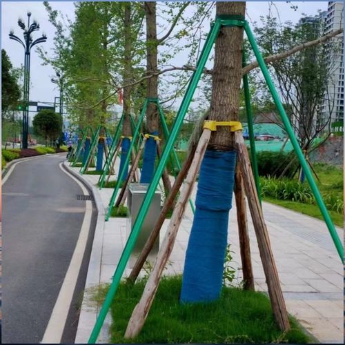 树木支撑架钢管固定器行道大树支撑杆乔木防风园林烤漆镀锌树撑
