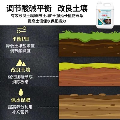 盐碧克盐碱地专用肥土壤调理疏松改良剂活化板结免深耕土壤疏松剂