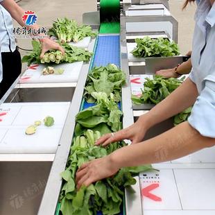 食品加工多工位输送挑选设台 果蔬工OJI生线产加流水备