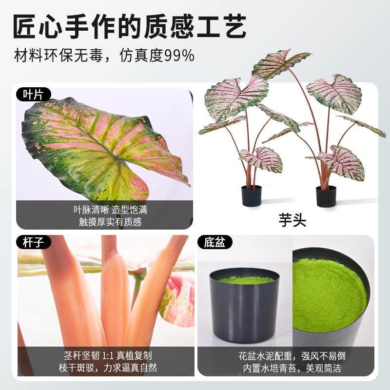 仿真绿林植仿真彩芋花仿PCV水芋仿真树州喜芋盆栽造景树广海虹真