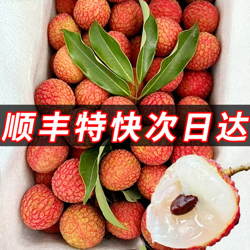 【空运】老树大果新鲜现摘荔枝