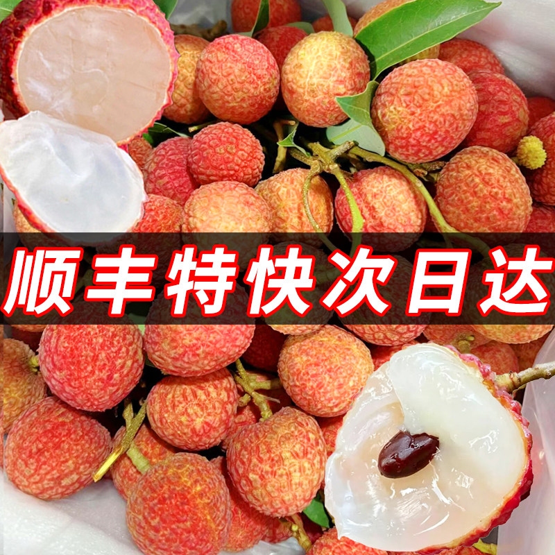 白糖罂荔枝新鲜现摘现发海南妃子广笑东3西5水果2026应季10斤特产