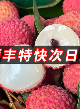 【空运】老树大果新鲜现摘荔枝