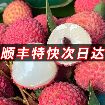 桂味荔枝新鲜现摘现发广东增城当季整箱水果应季大果仙进白奉糖罂