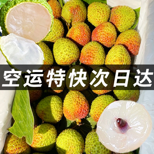 妃子笑荔枝新鲜现摘现发海南广白东西糖罂贵妃水果大礼盒10斤整箱