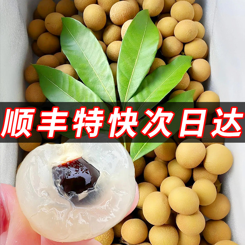 老树当季水果应季10斤大果香甜