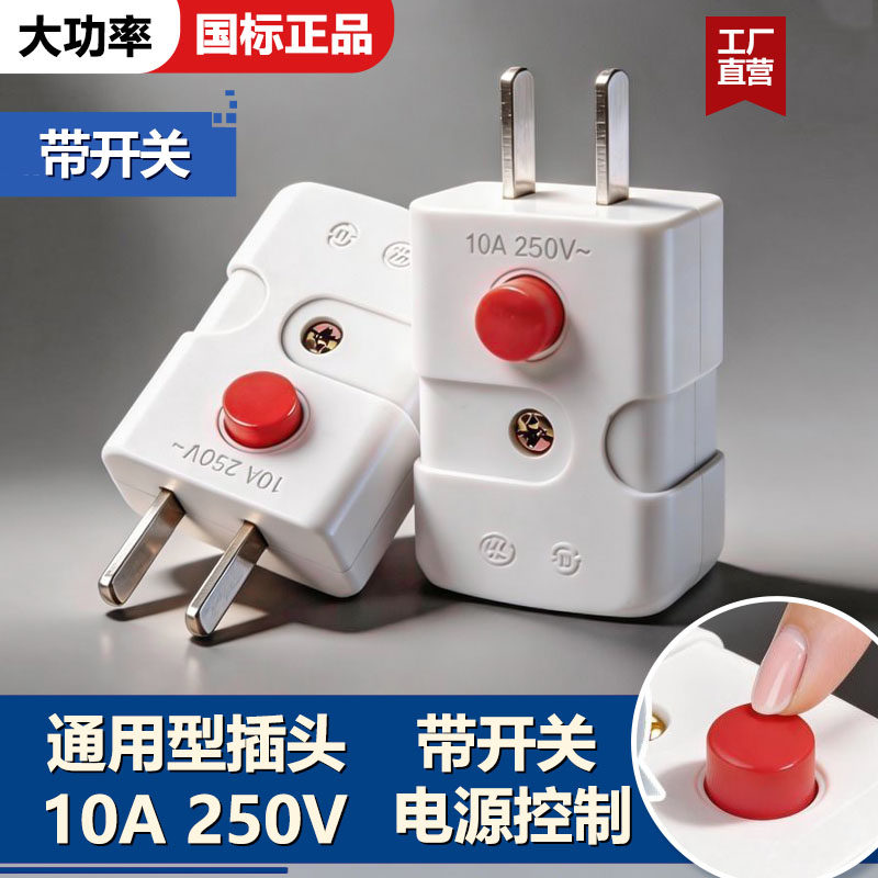 国标电工二插10A二极带开关插头