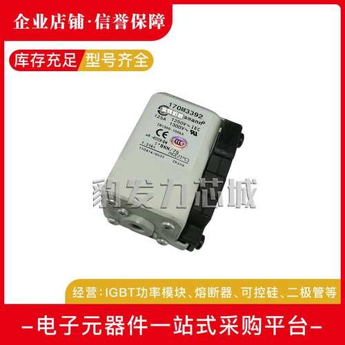 170M3308 170M3309 170M3310 170M3311 170M3312/3313/3314熔断器