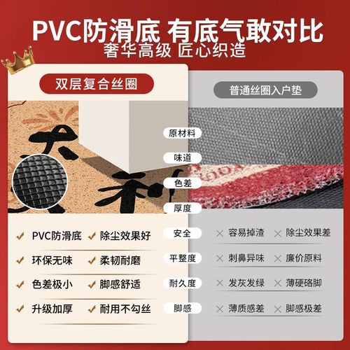 入户门地垫防滑进门家用出入玄关垫子免洗丝圈耐脏门口外地毯