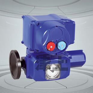 北京原装伯纳德电源电压460VSQ80角行程电动执行器