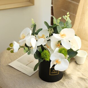 仿真蝴蝶兰小景假客厅桌面玄关卉绿植创意摆设装饰
