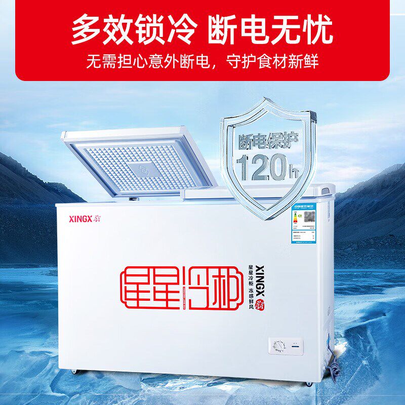 星星冰柜温箱蝴蝶家用商用冷柜2HE大容量冷冻冷藏节能5E