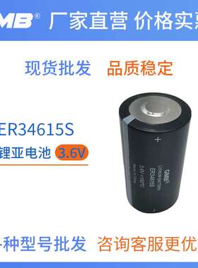广东ER34615S GMB锂亚电池3.6V锂亚硫酰氯高温电池石油随钻随读