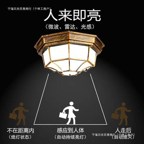 人体感应吸顶灯户外防水防潮室外门口阳台庭院过道房檐入户灯led