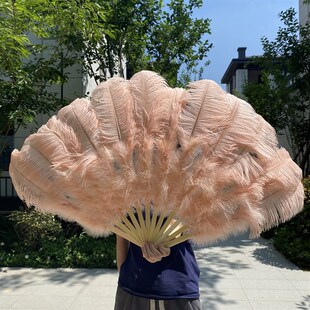 大号鸵鸟羽毛扇子 肚皮舞蹈酒吧表演演唱会道具羽毛绒大扇子