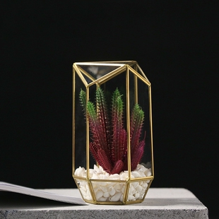 几何玻璃罩仿真多肉盆景创意办公室酒柜装饰品摆设
