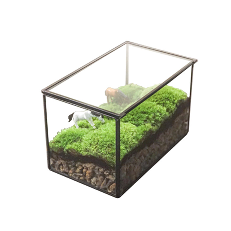 创意玻璃苔藓手工di微景观生态瓶多肉盆长方迷你玻璃房,家居饰品,花盆,淘宝优惠券,粉丝福利购,淘宝优惠卷
