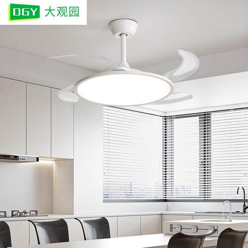 隐形风扇灯2025新款简约吊扇灯吸顶家用客厅餐厅卧室电扇吊灯263