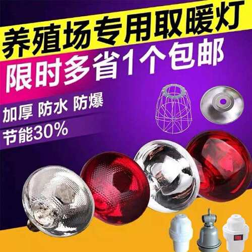 保温取暖灯泡养殖猪场仔猪用灯罩灯头红外线小鸡加热烤灯设备