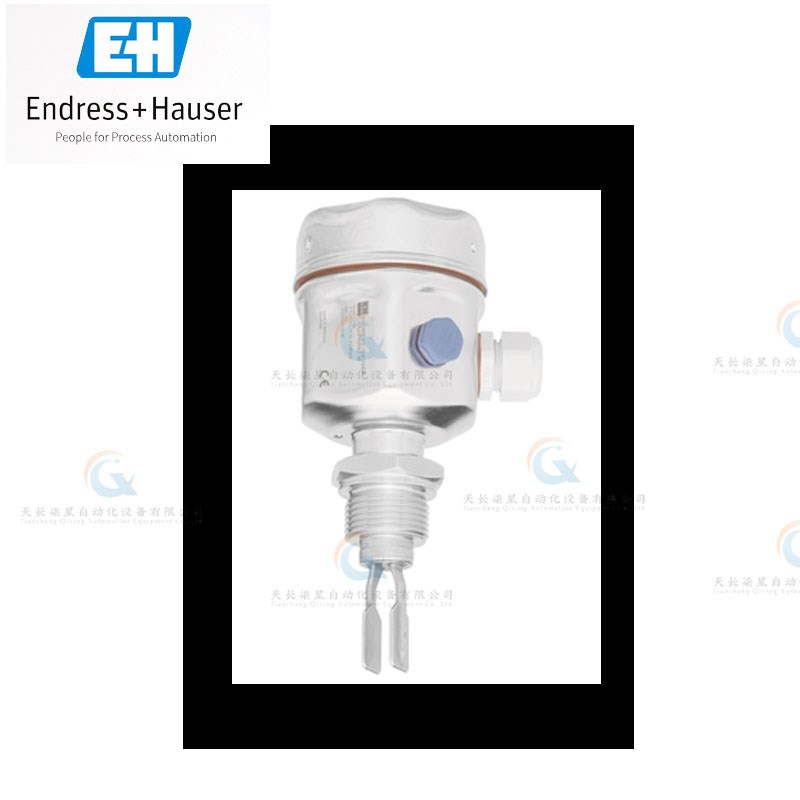 FTL50H FfTL41 FTL31 FTL33  FTL51B FTL62  FTL51H音叉开关 E+H