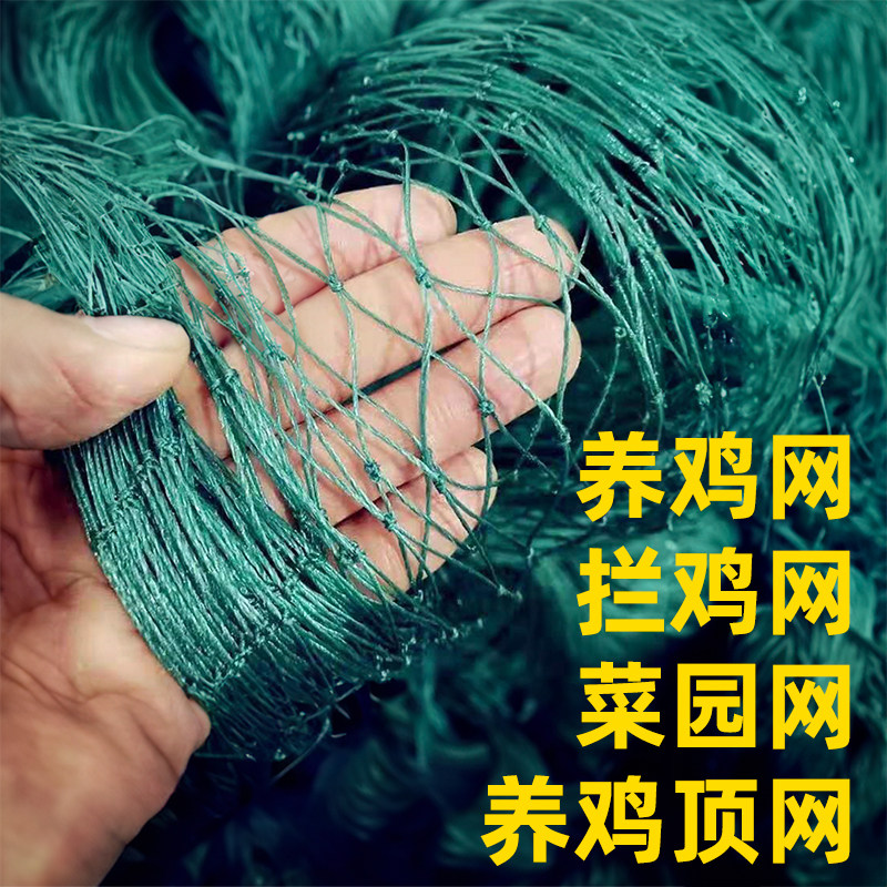 菜园围网禽塑料网养殖网养鸡网尼龙网安全拦鸡网围鸡网护栏网