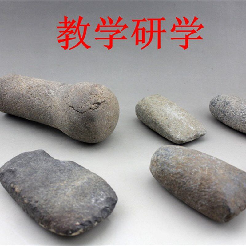 红山史前新旧石器时代打制磨制石器科普教学标石斧石锛