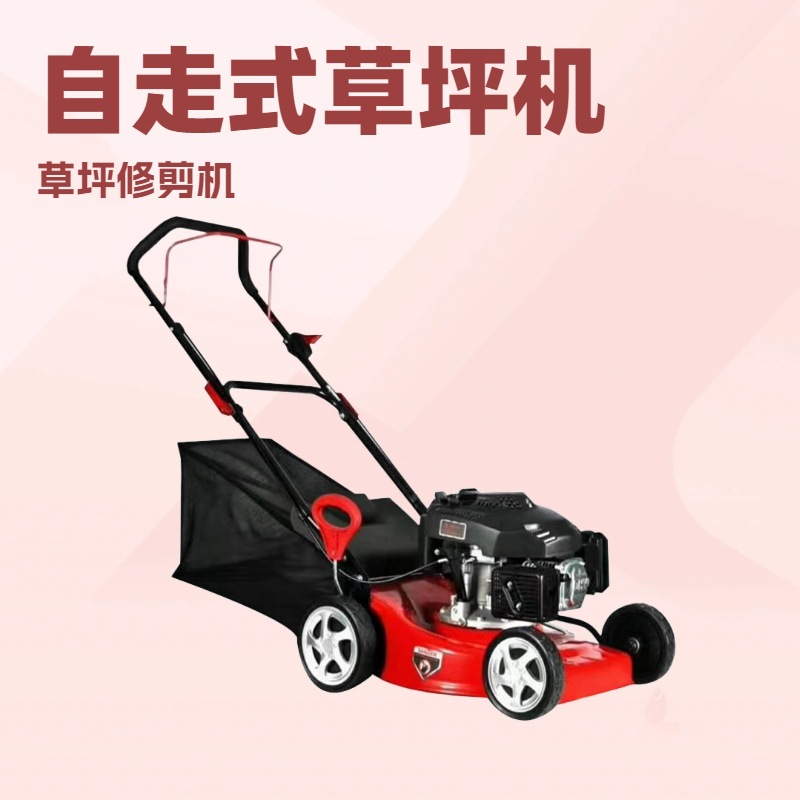 汽油款手推式草坪机19寸20寸21寸自走式草坪机园林绿化草坪修剪机