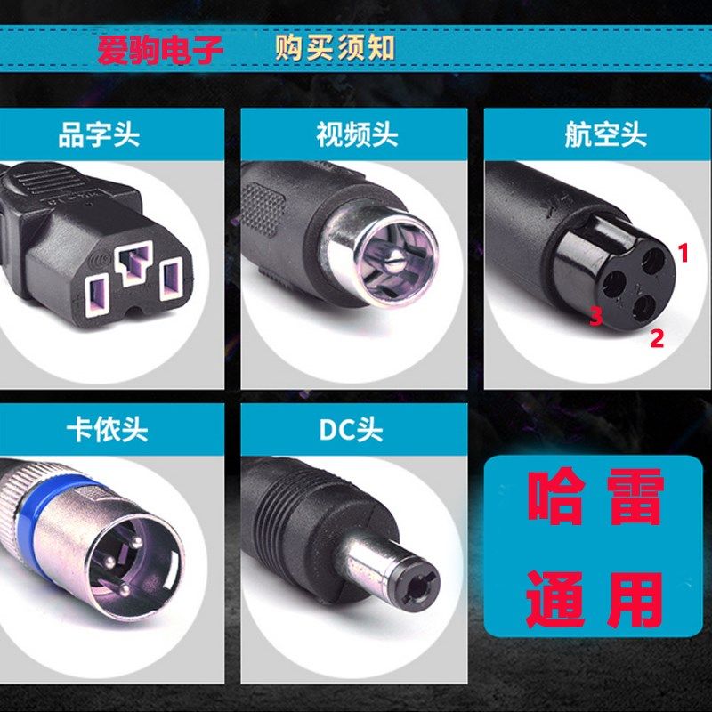 哈雷电动车池充电器安冲电器