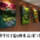 壁挂苔藓干装 壁饰 饰走廊客厅背景墙立体永生家装
