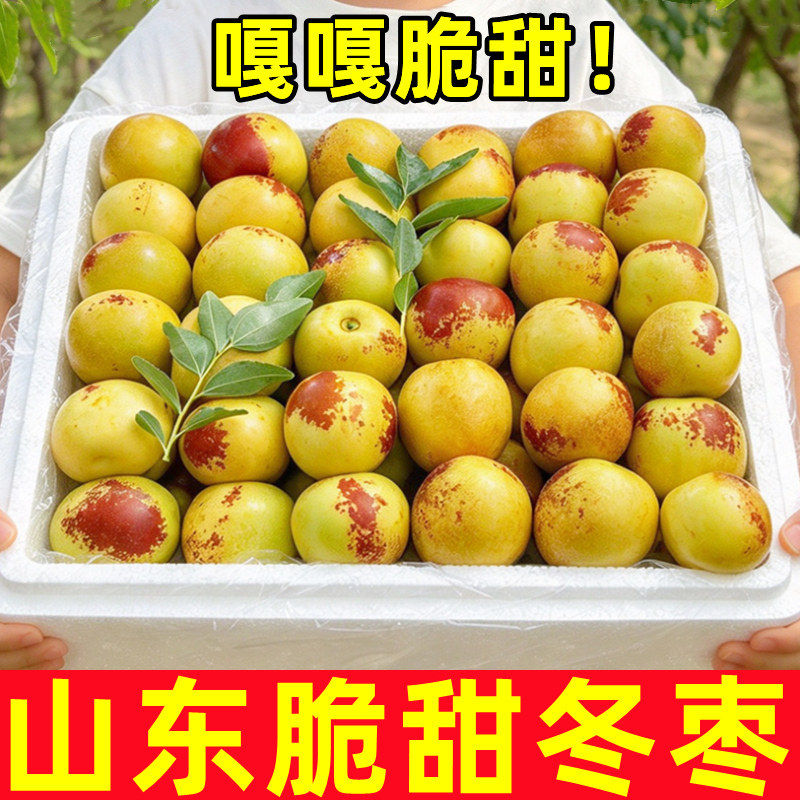 正宗山东脆甜冬枣新鲜当季大果沾水果枣子冰糖特大化红枣整箱