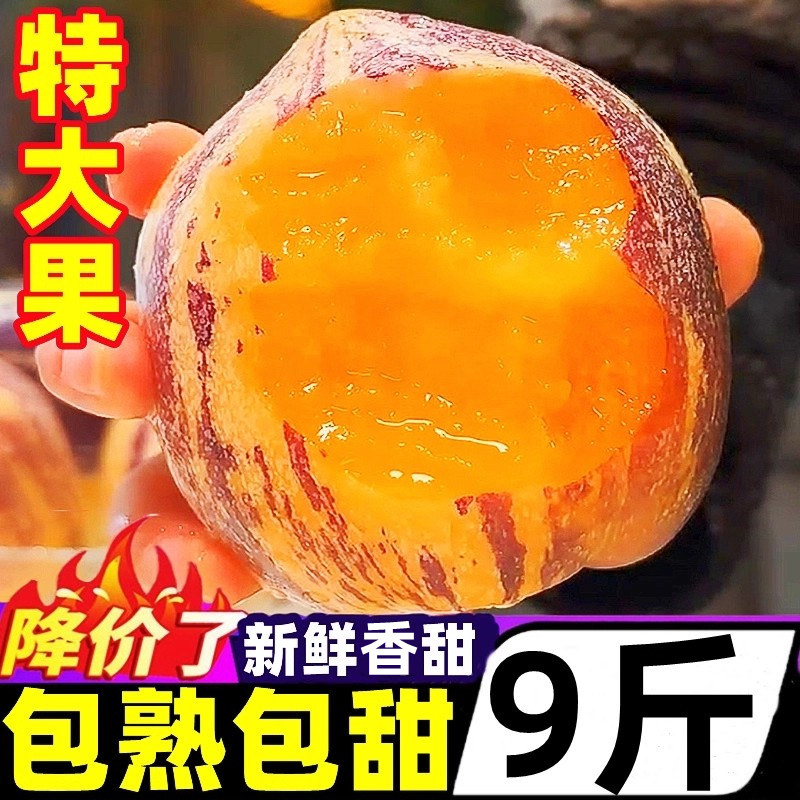 甘肃沙漠人参果10斤大果新鲜水果民娃娃果黄肉七彩人叁果勤人生果,水产肉类/新鲜蔬果/熟食,人参果,淘宝优惠券,粉丝福利购,淘宝优惠卷