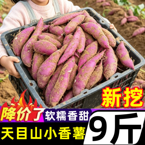 临安天目山超甜小香薯黄心蜜薯