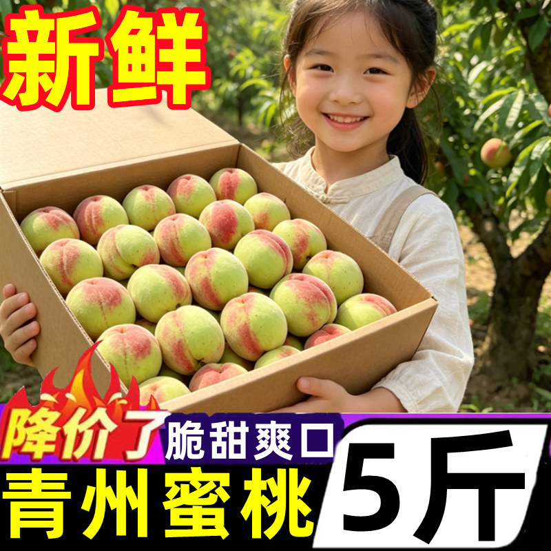 脆甜青州蜜桃新鲜水果
