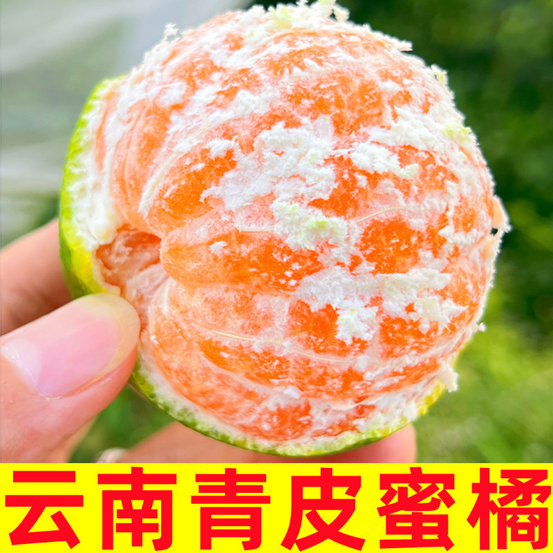 云南青皮蜜橘新鲜5斤酸甜