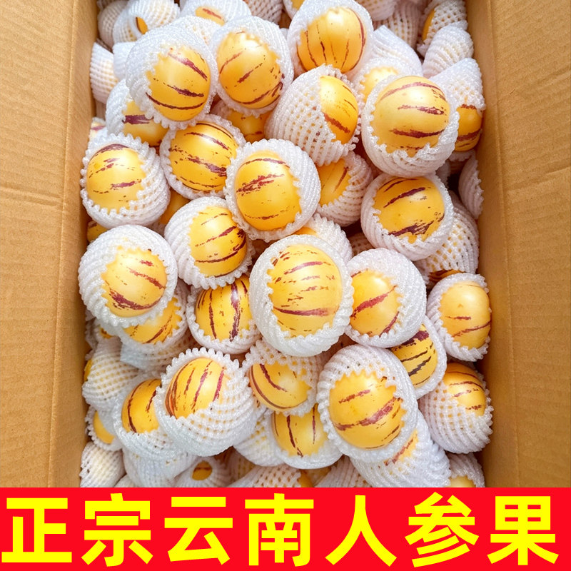 正宗云南人参果新鲜9斤