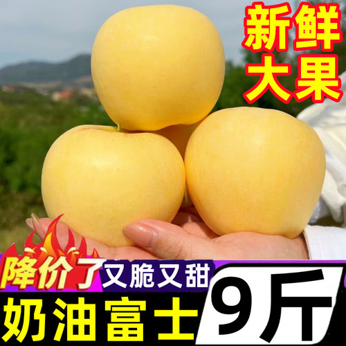 脆甜山东奶油富士苹果