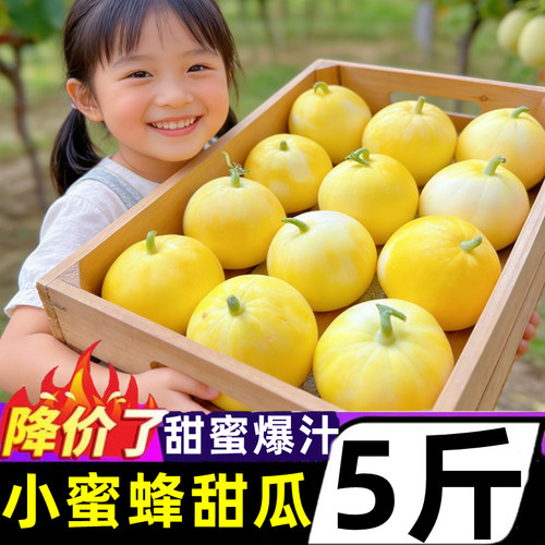 正宗山东小蜜蜂超甜瓜水果香瓜