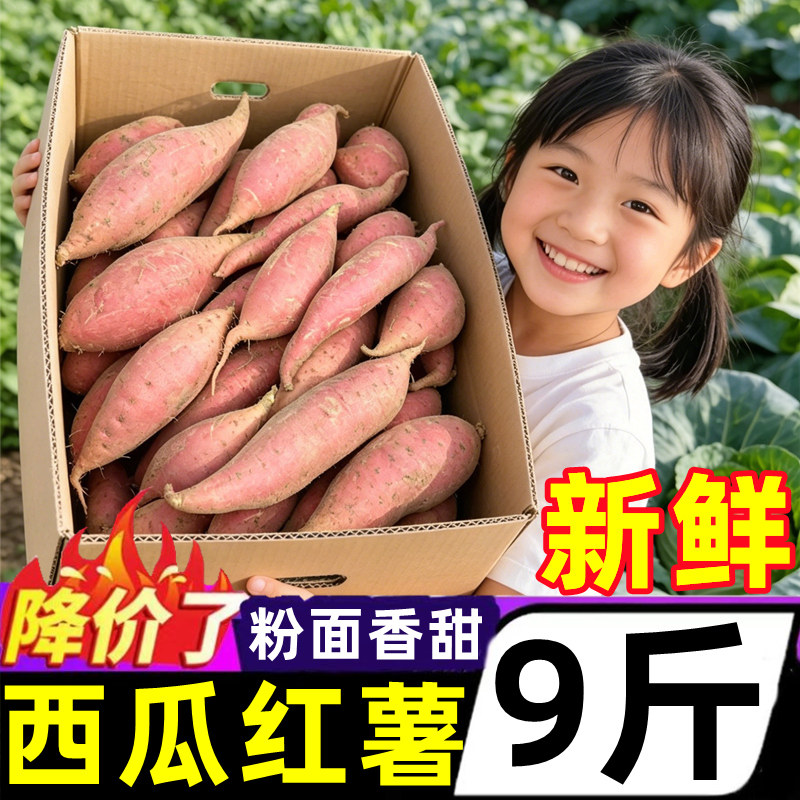 广西西瓜红蜜薯新鲜9斤板栗红薯农家自种红心地瓜糖心烤番薯蔬菜