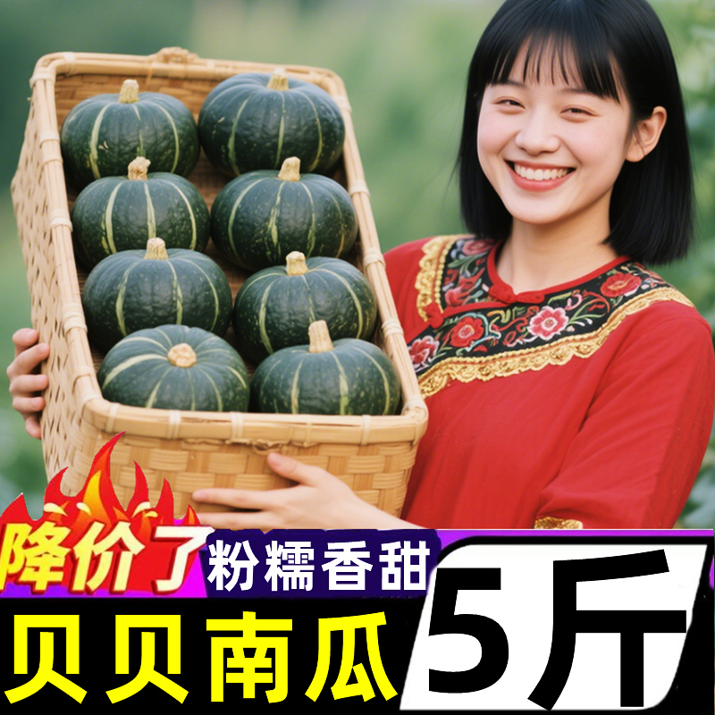 贝贝南瓜板栗味小南瓜非惠和一号