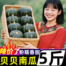 正宗贝贝南瓜板栗味5斤新鲜小南瓜当季 蔬菜宝宝老南瓜非惠和一号