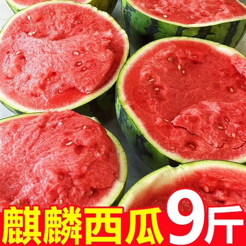 云南无籽沙瓢麒麟西瓜9斤超甜果
