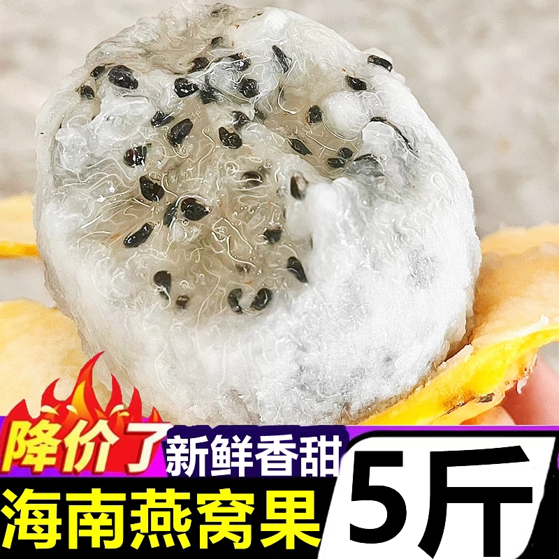 正宗海南燕窝果新鲜香甜应季水果黄皮火龙果现摘麒麟果水果礼盒装