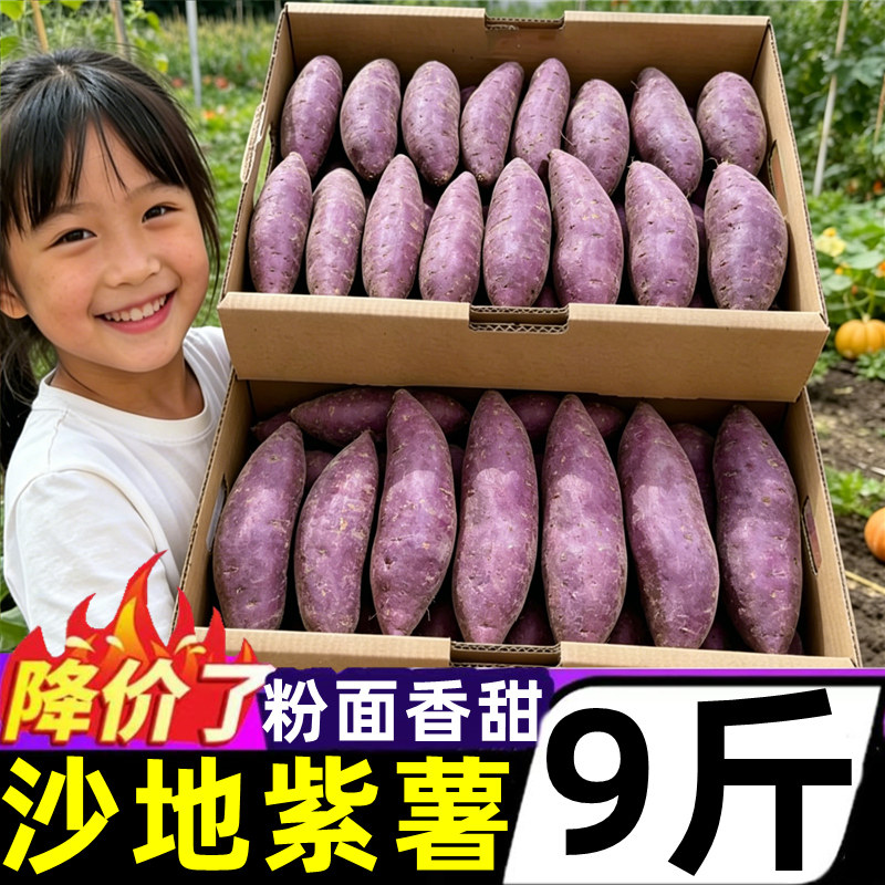 广西沙地紫薯新鲜9斤板栗红薯番薯农家自种当季蔬菜地瓜糖心蜜薯