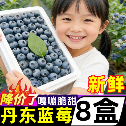正宗丹东花香蓝莓新鲜