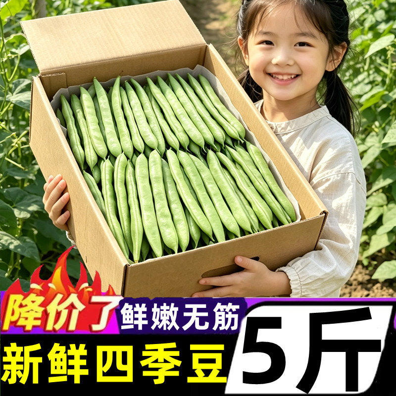 云南昆明新鲜现摘四季豆豆角农家自种应季蔬菜长扁芸豆整箱5包邮
